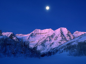 Ut1.jpg (24934 bytes)