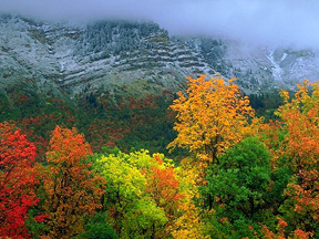 Ut10.jpg (53673 bytes)