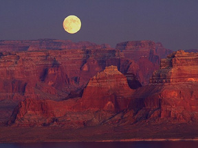 Ut11.jpg (25008 bytes)