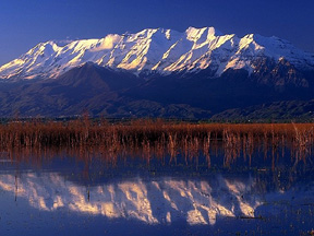 Ut12.jpg (34987 bytes)