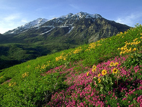 Ut3.jpg (51671 bytes)