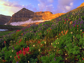 Ut4.jpg (52116 bytes)