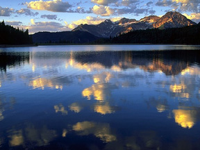 Ut7.jpg (31275 bytes)