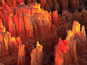 Ut8.jpg (46238 bytes)